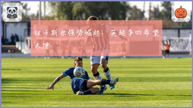 纽卡斯尔强势崛起，英超争四希望大增