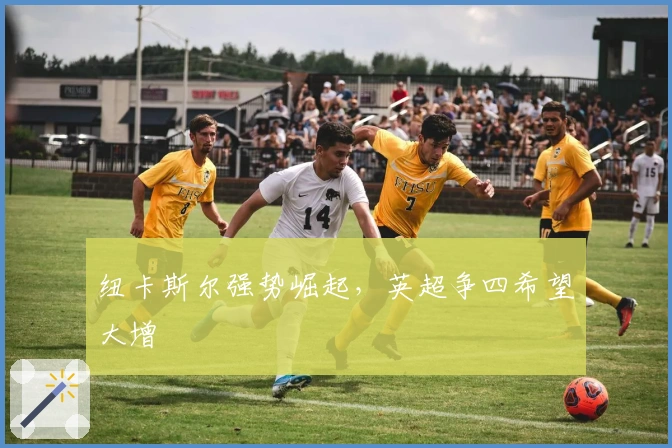 纽卡斯尔强势崛起,英超争四希望大增